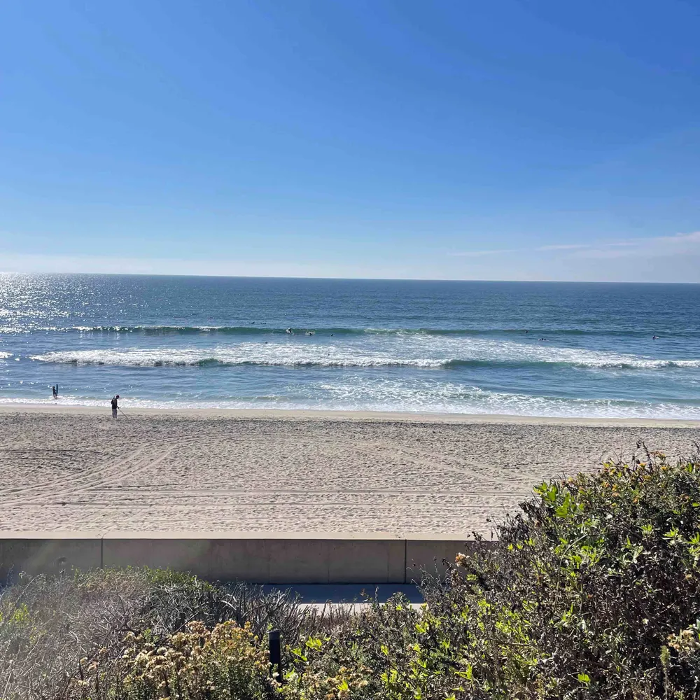 freedomtoo.bsky.social's profile picture