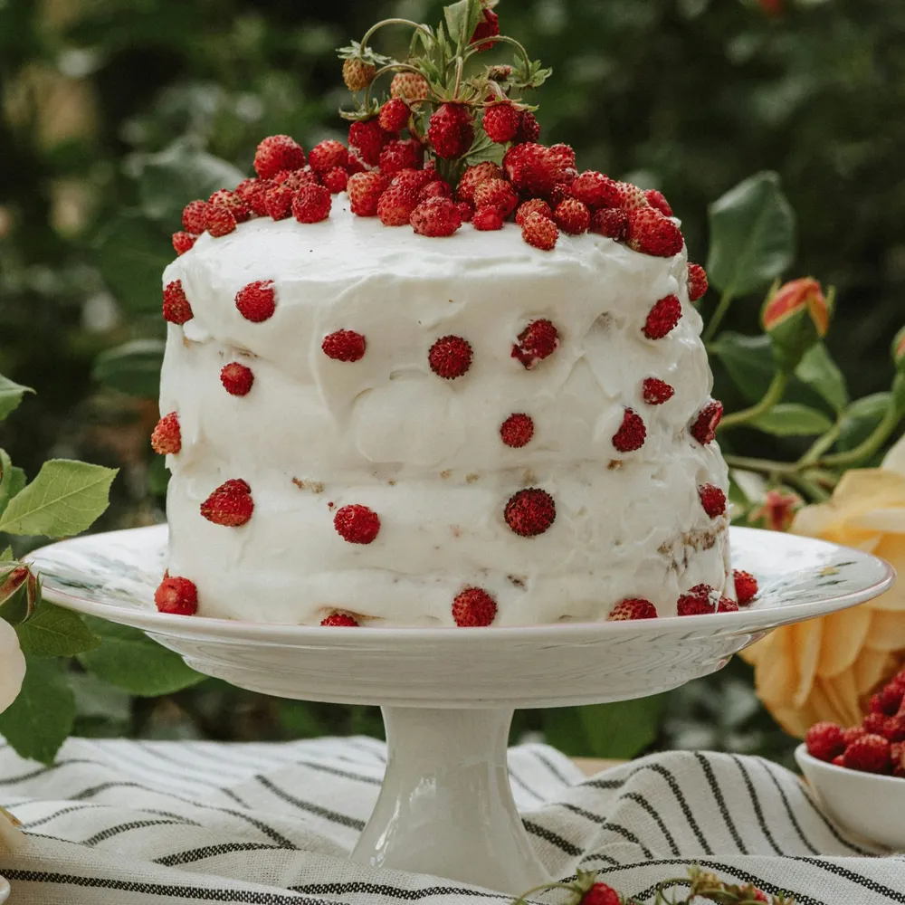 cakemonster4cake.bsky.social's profile picture