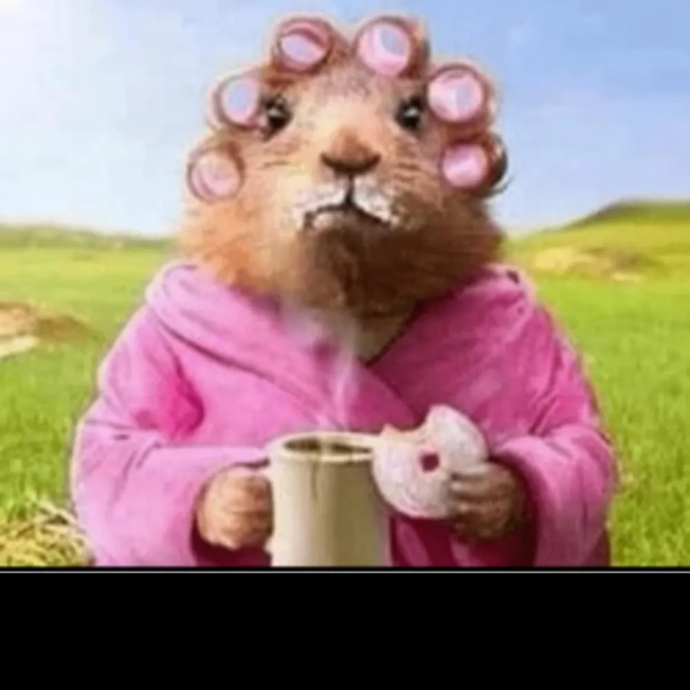 vickies6320.bsky.social's profile picture