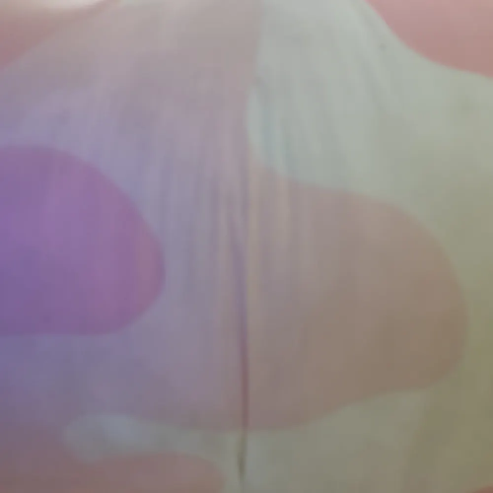 soggyfox.bsky.social's profile picture