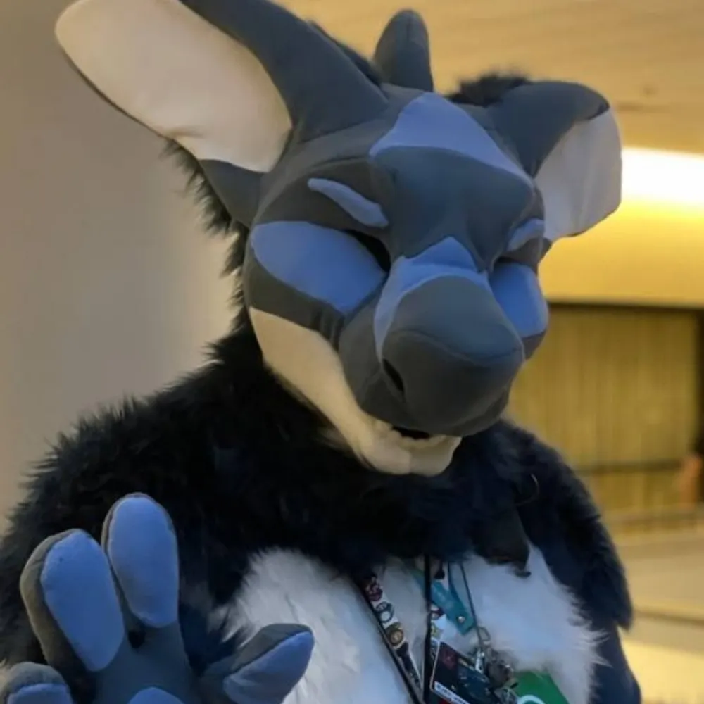 ajaxjingo.bsky.social's profile picture