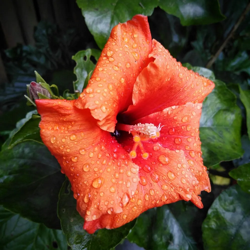 tuffrings.bsky.social's profile picture