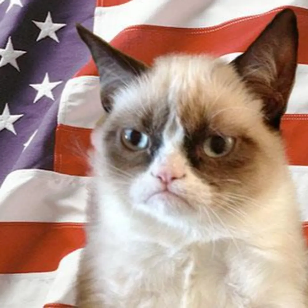 oasisfree.bsky.social's profile picture