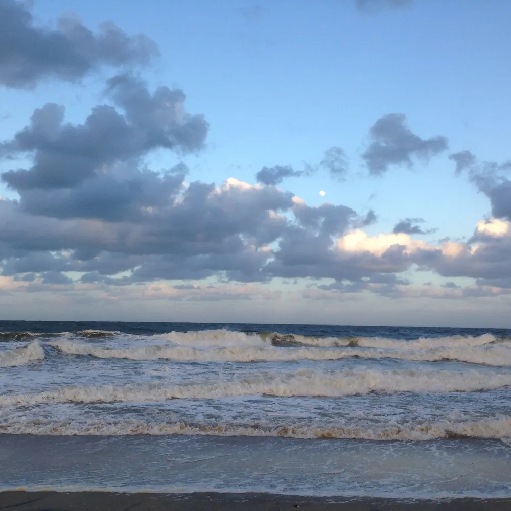 cococurie2.bsky.social's profile picture