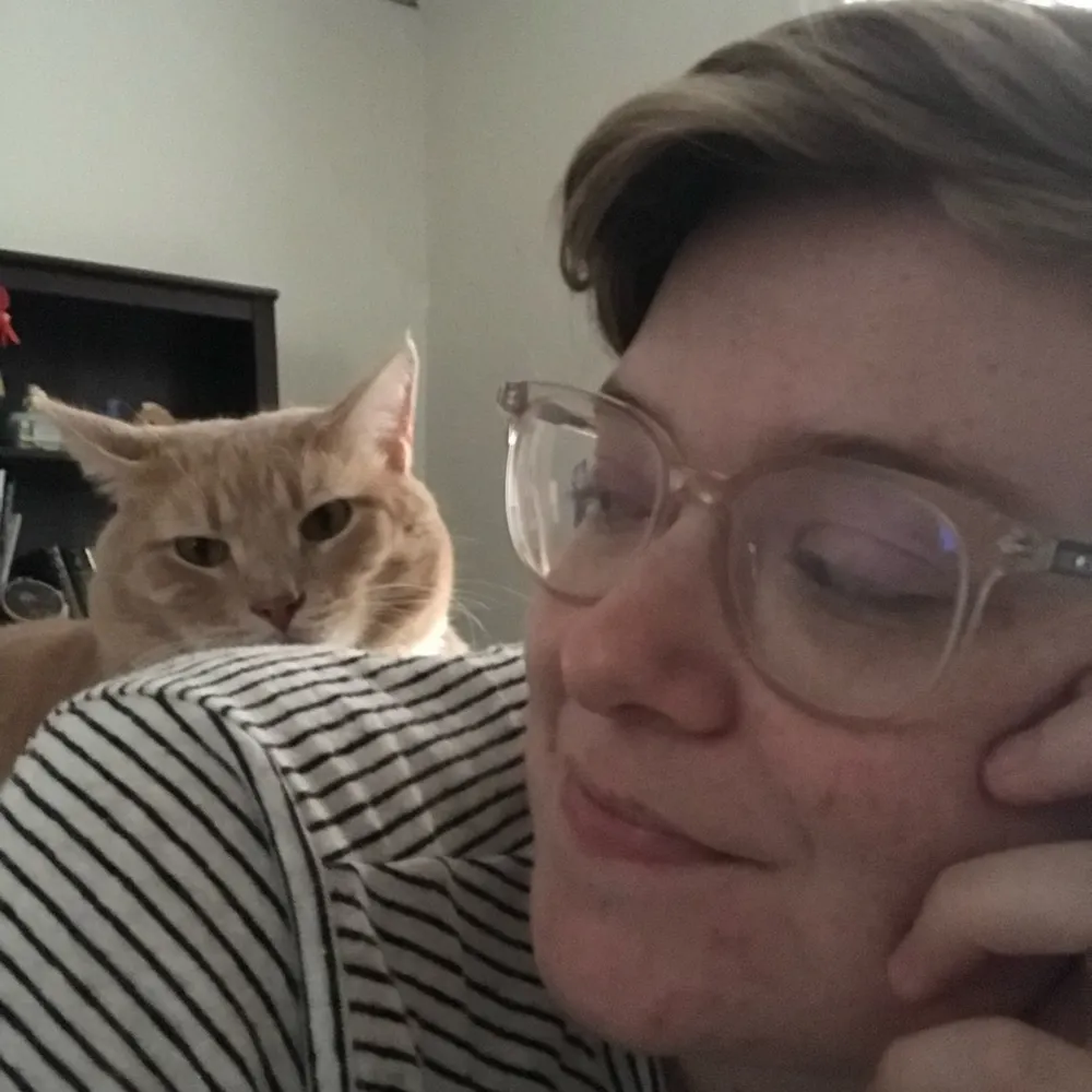 beeeecat.bsky.social's profile picture