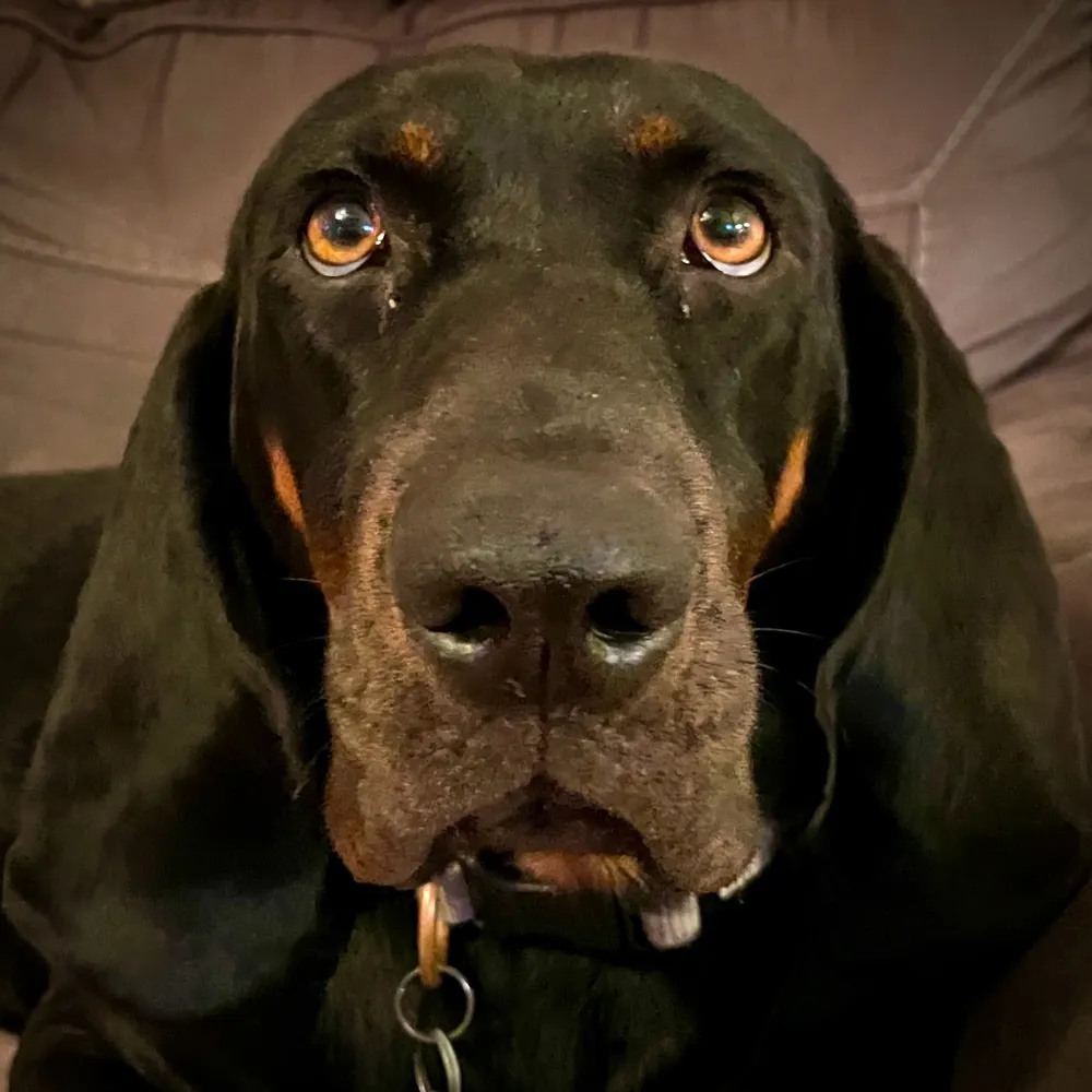 robbieusanl.bsky.social's profile picture