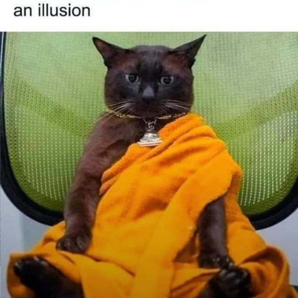 donna6226.bsky.social's profile picture