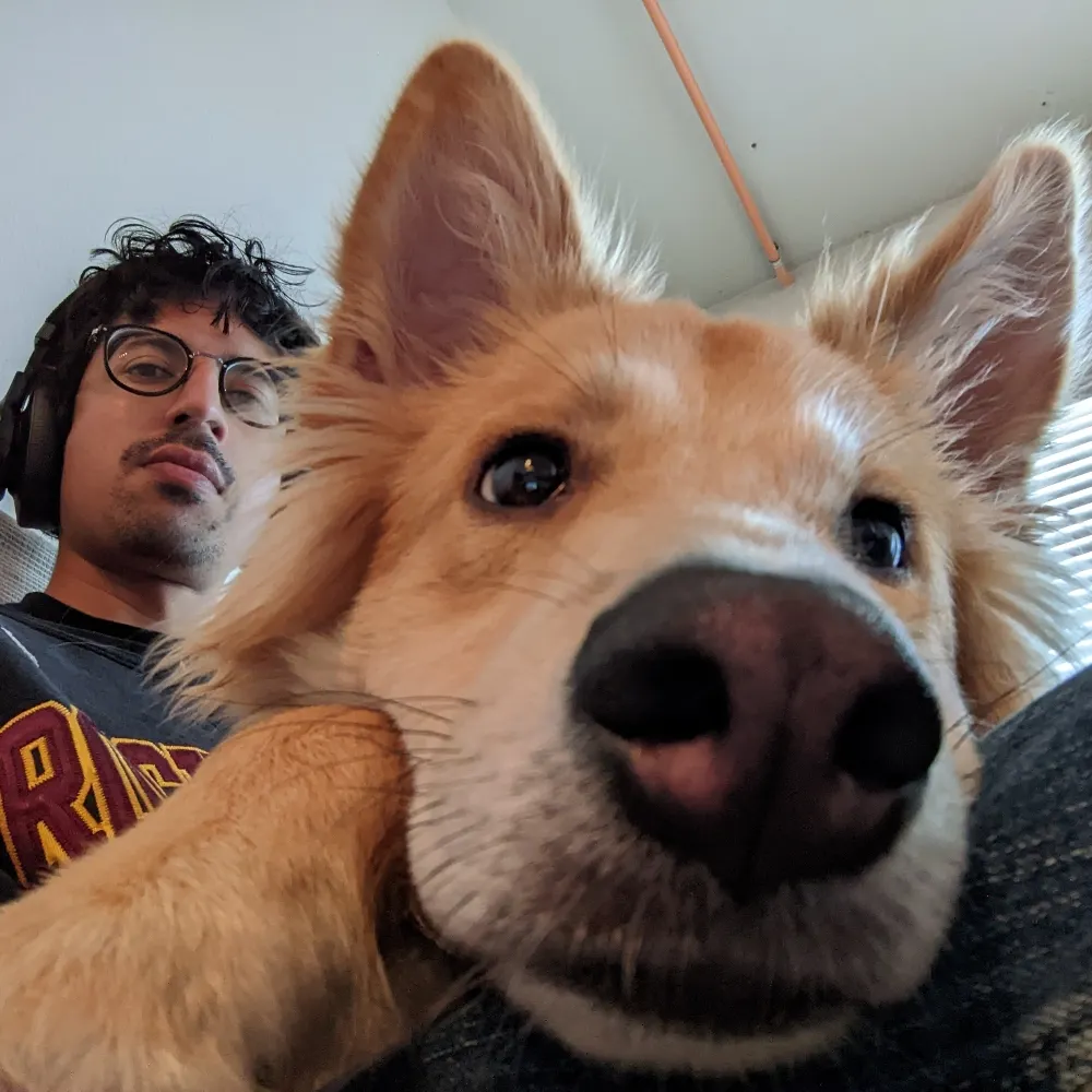 majumdar.bsky.social's profile picture