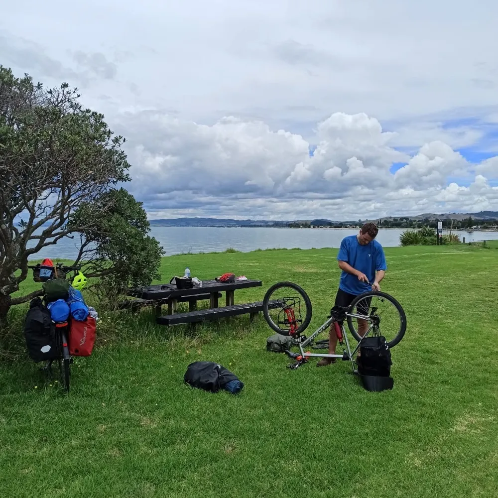 strausan.bsky.social's profile picture