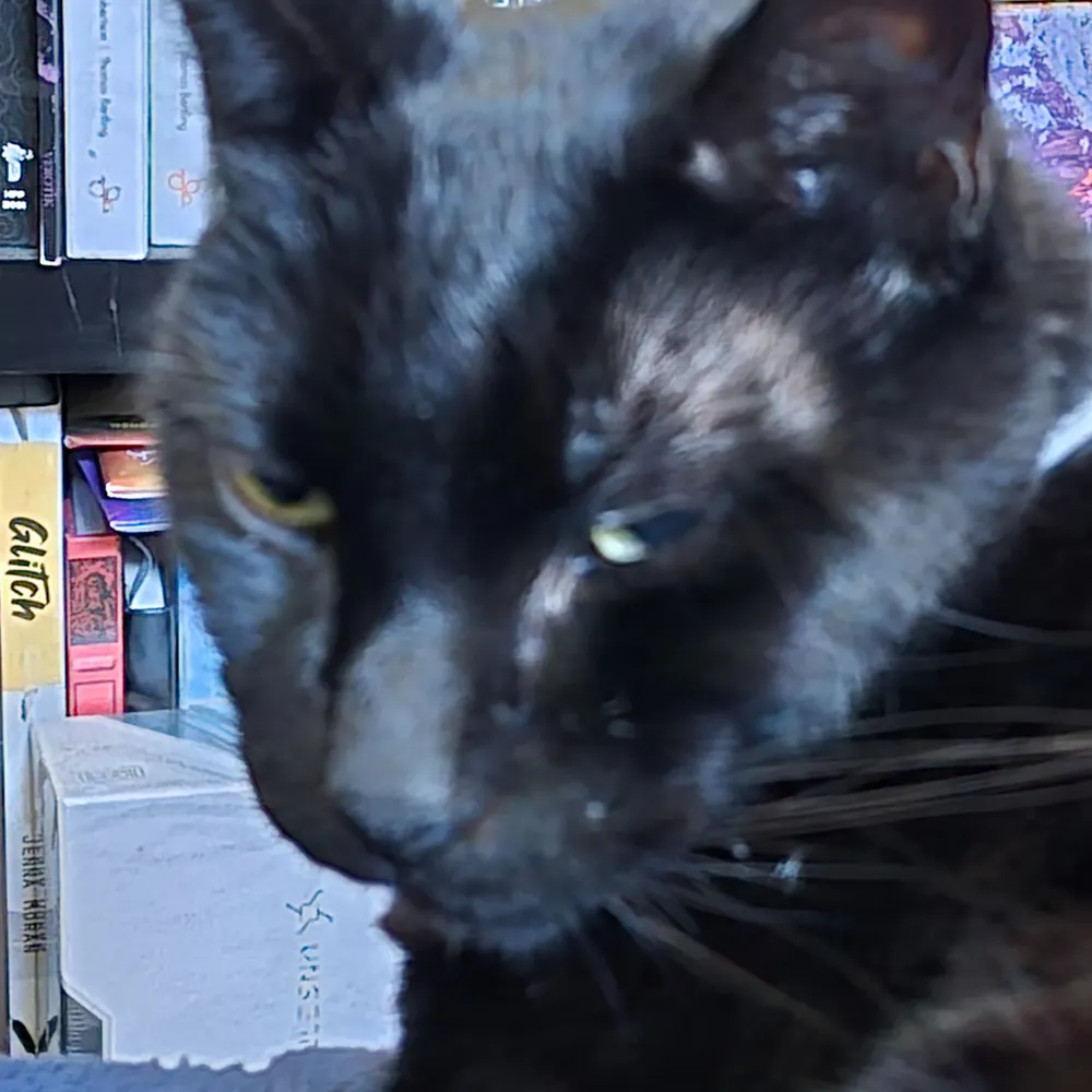 gritmonger.bsky.social's profile picture