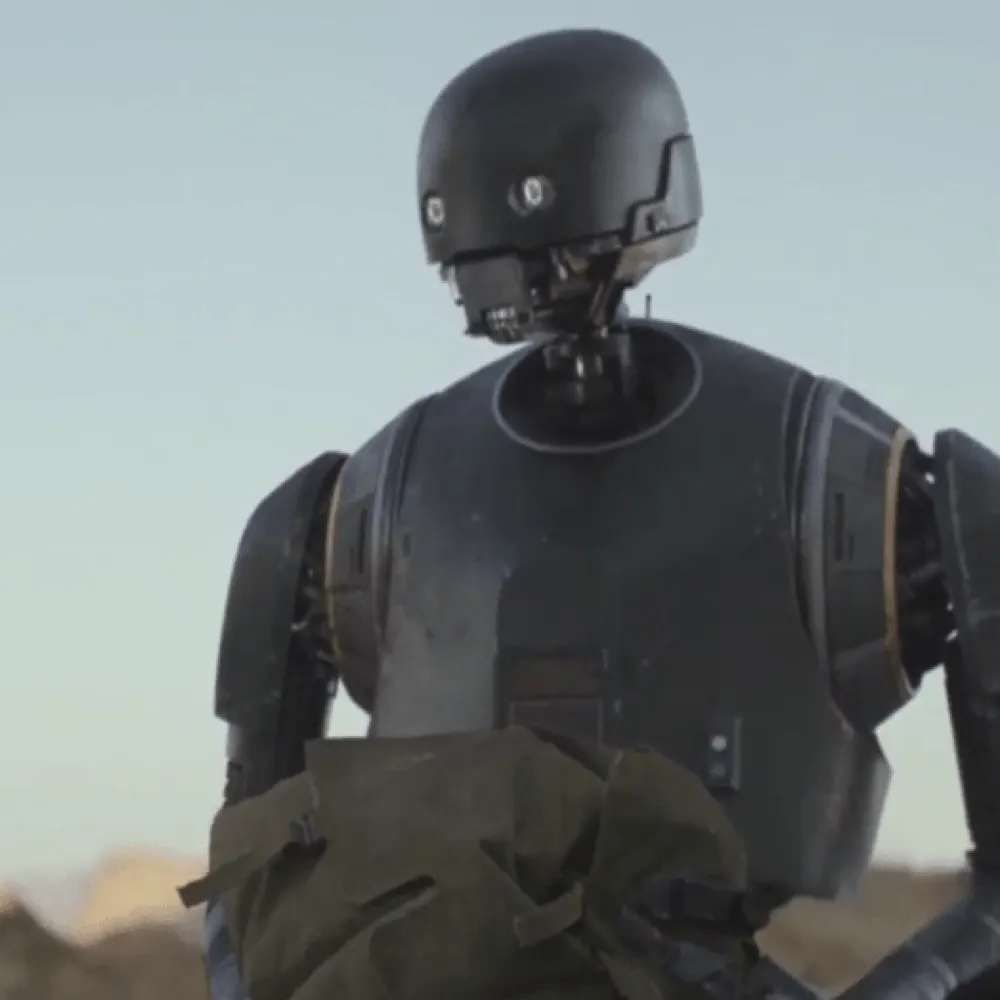 sassdroid.bsky.social's profile picture