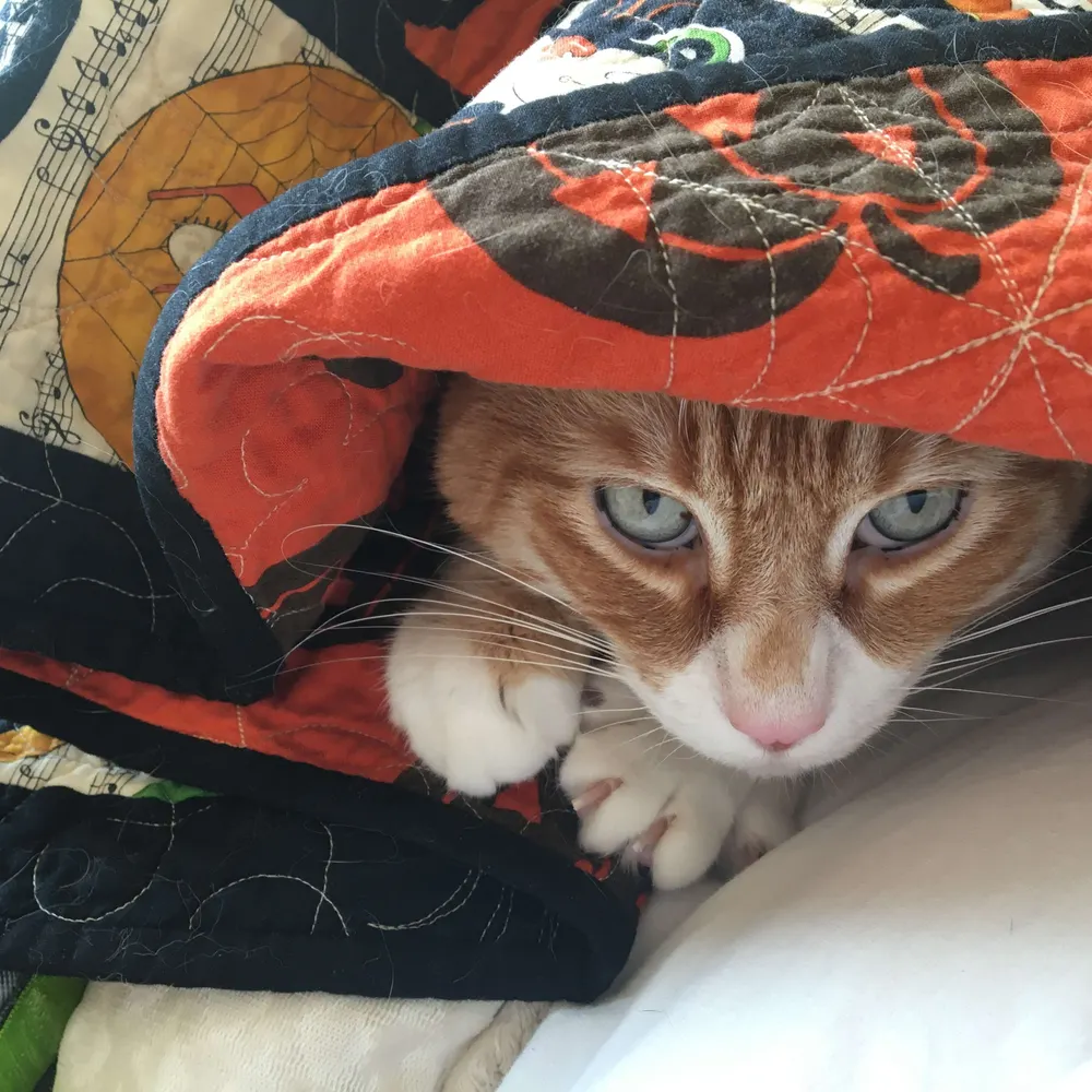 jenny2024475.bsky.social's profile picture