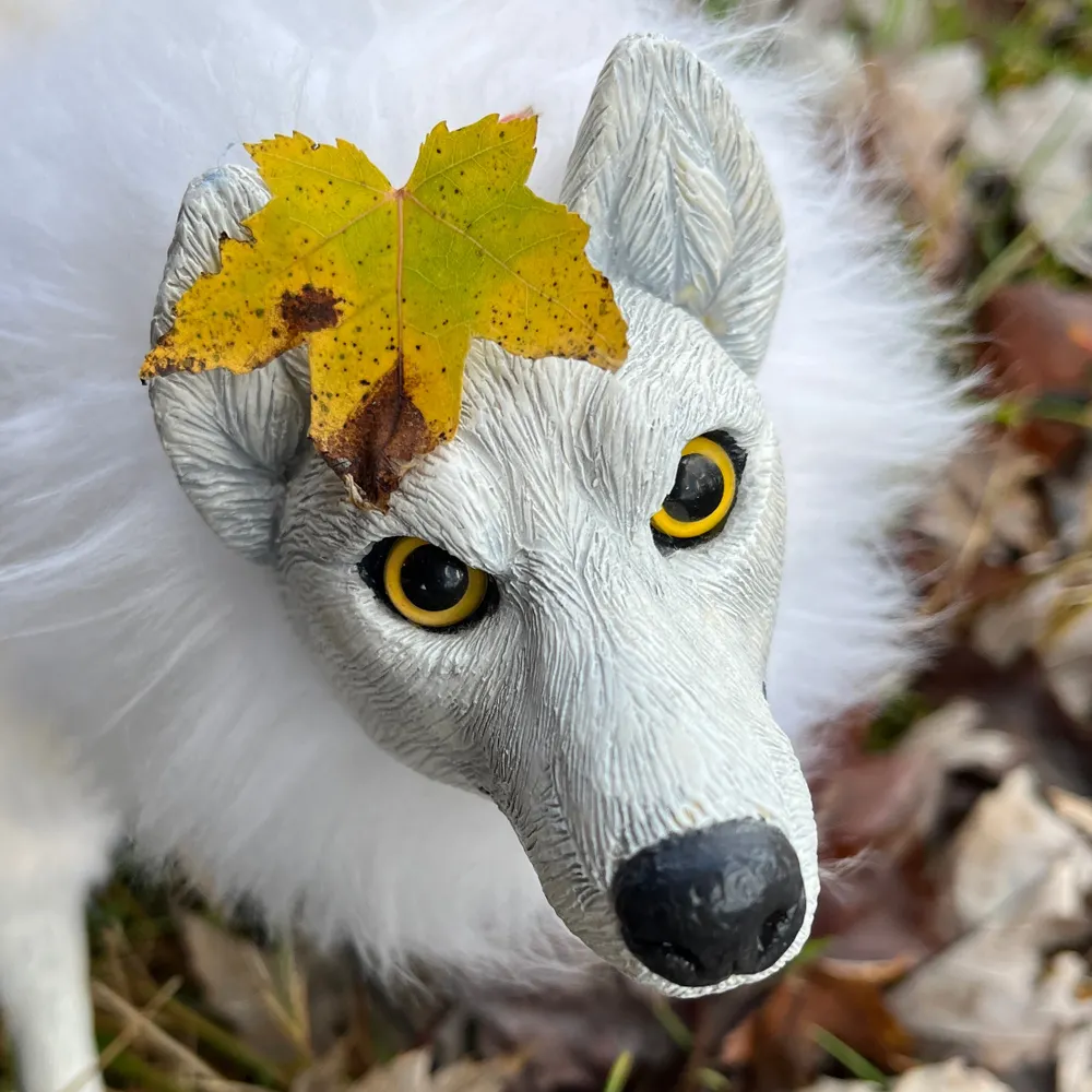 lyraksylva.bsky.social's profile picture