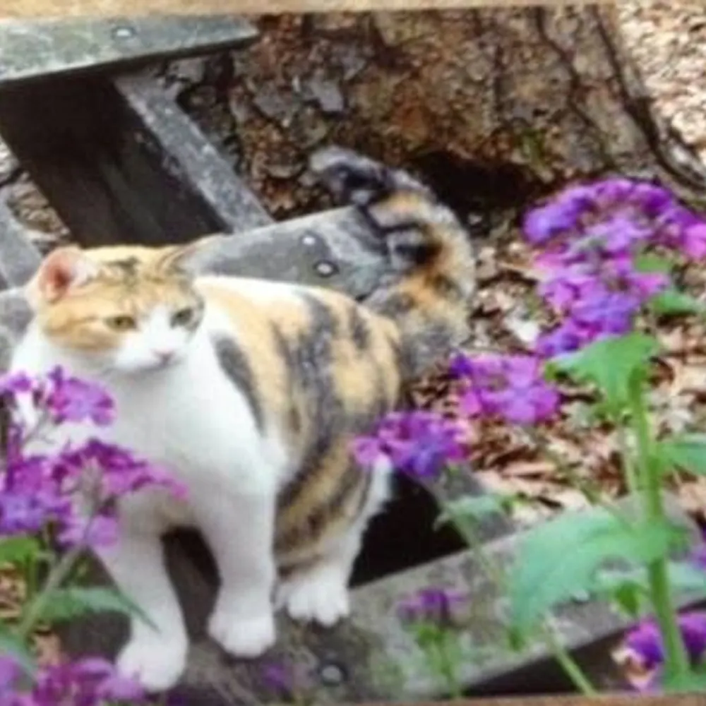 namwella1961.bsky.social's profile picture