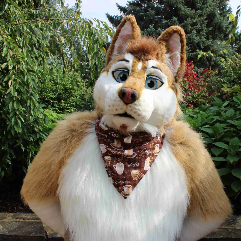 speedyhuskee.bsky.social's profile picture