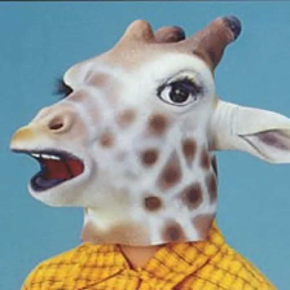 rabidrodent.bsky.social's profile picture