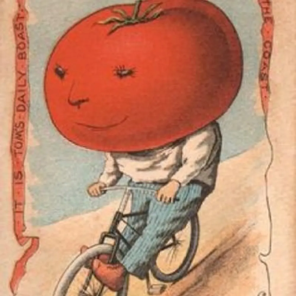 coolbikeart1.bsky.social's profile picture