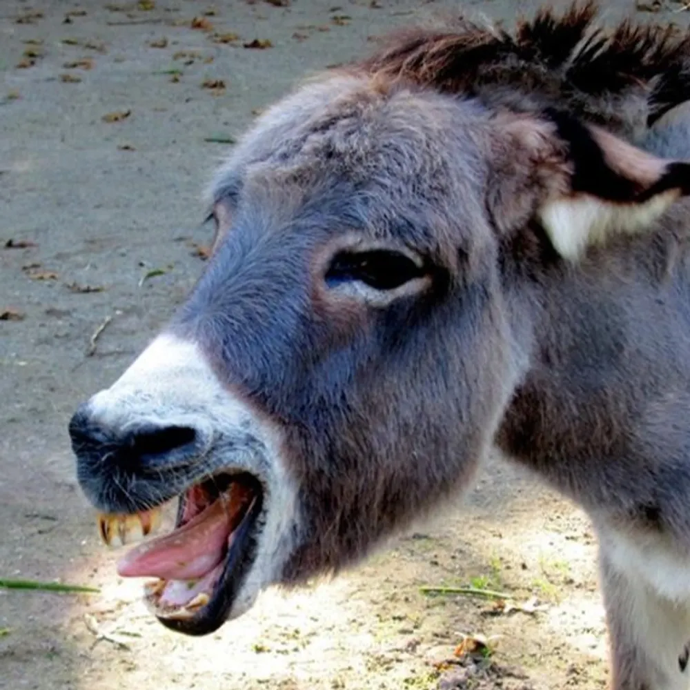 kathleena.bsky.social's profile picture