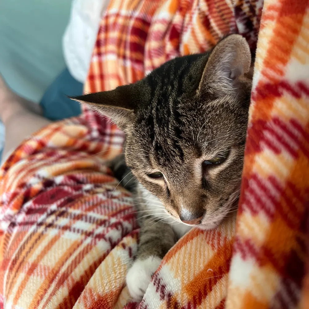 ads60nyc.bsky.social's profile picture