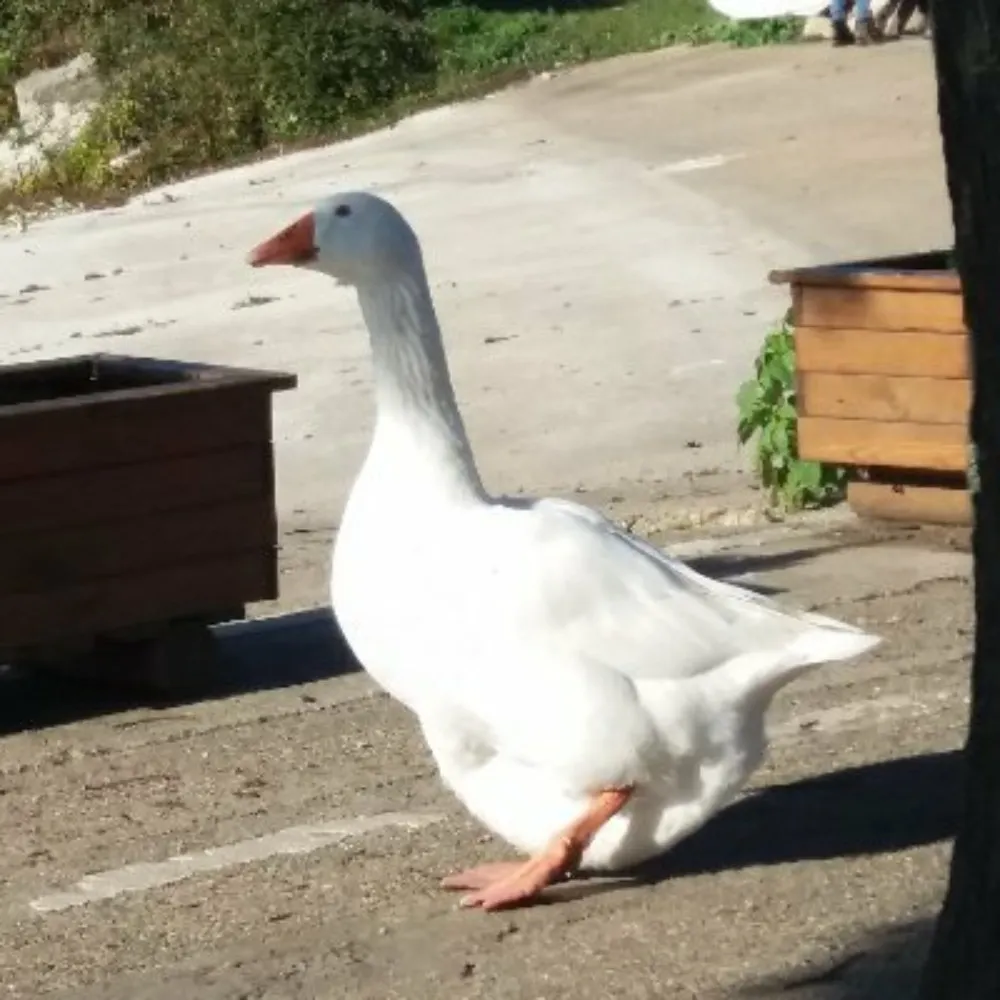 catssimsbooks.bsky.social's profile picture