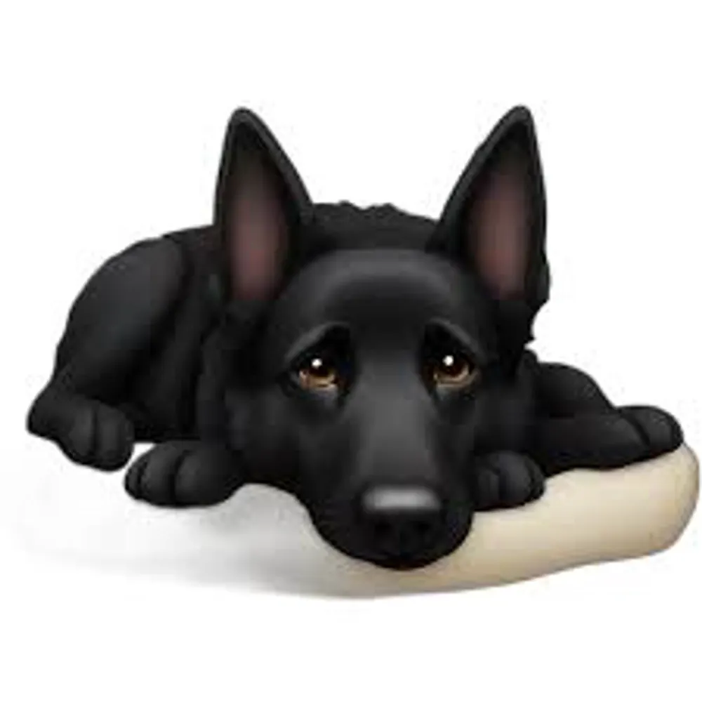 loboandizzy.bsky.social's profile picture