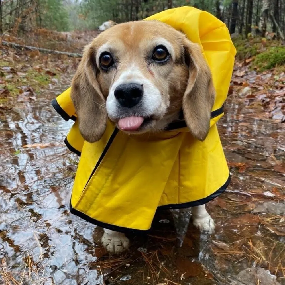 cassieeckhof.bsky.social's profile picture