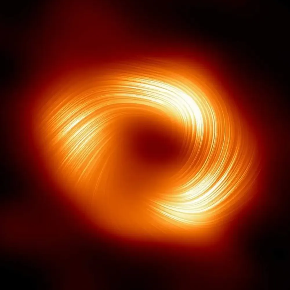 berthof.bsky.social's profile picture