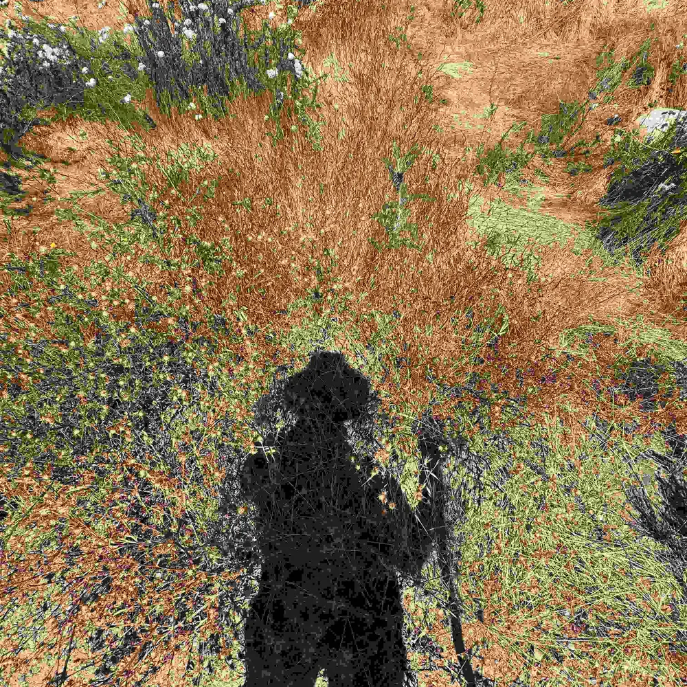 alexvagus.bsky.social's profile picture