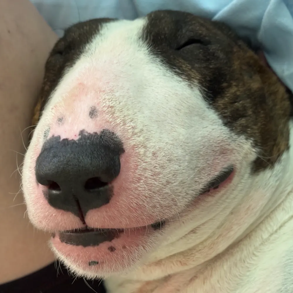 101234.bsky.social's profile picture