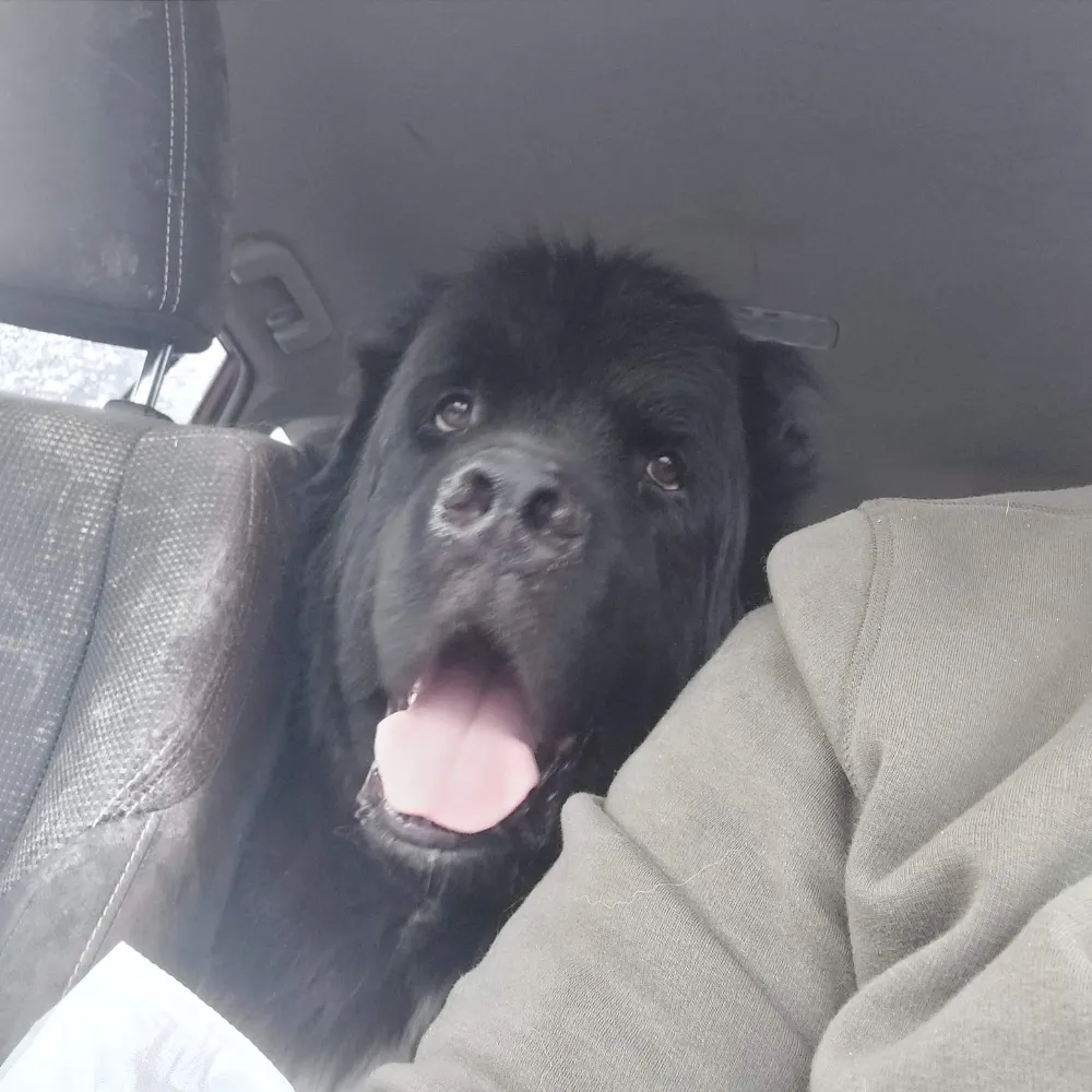 atalllatte.bsky.social's profile picture