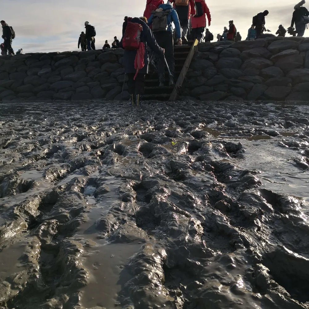 iangrant25.bsky.social's profile picture