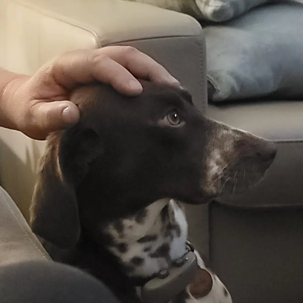 mattclay.bsky.social's profile picture