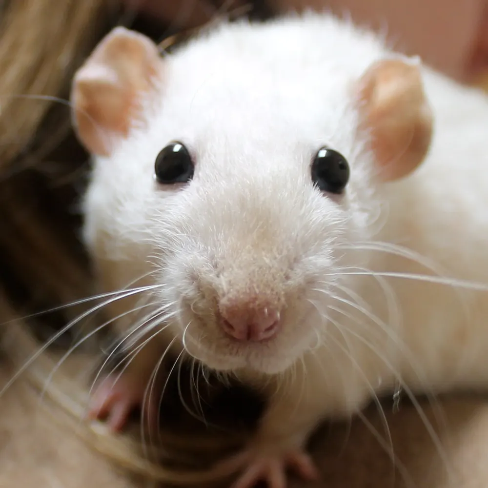 notnavy2-0.bsky.social's profile picture