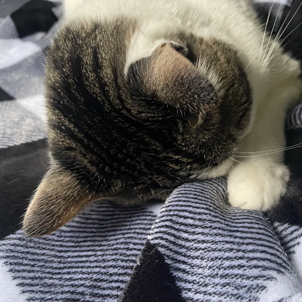 caffemath.bsky.social's profile picture