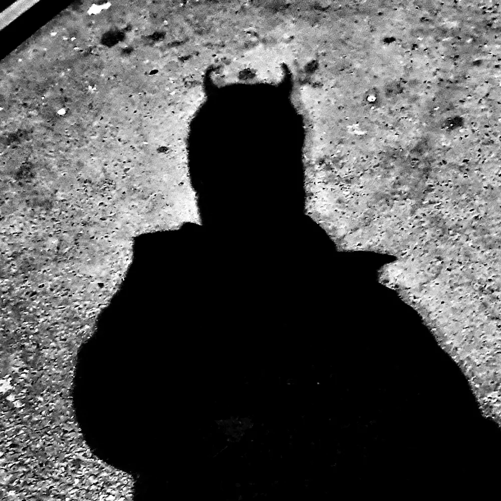 dfluke.net's profile picture