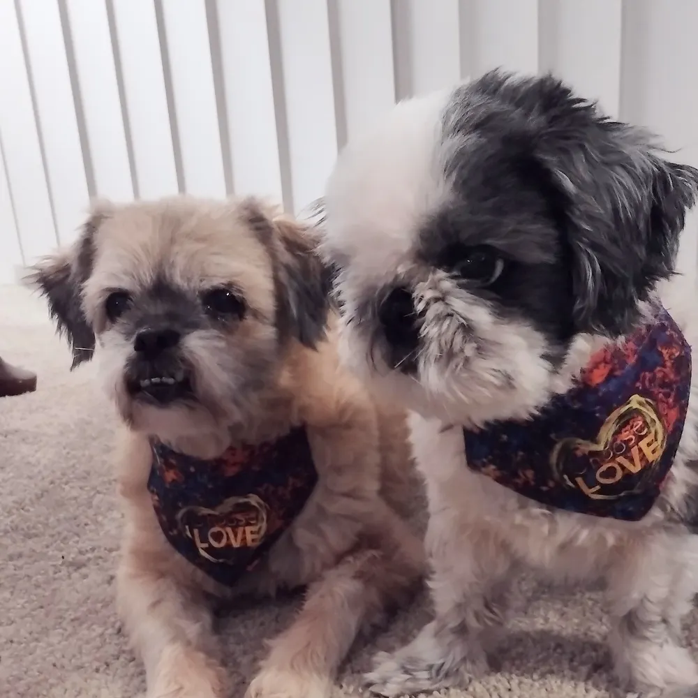 wordworkin.bsky.social's profile picture