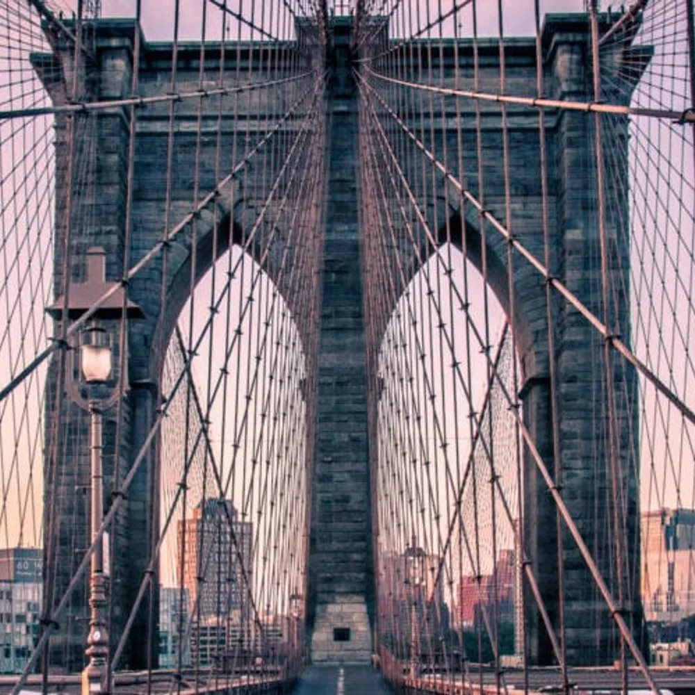 bruuklin.bsky.social's profile picture