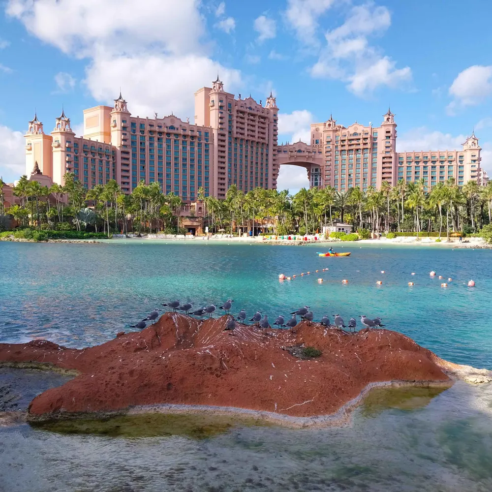 relaxed2rp.bsky.social's profile picture