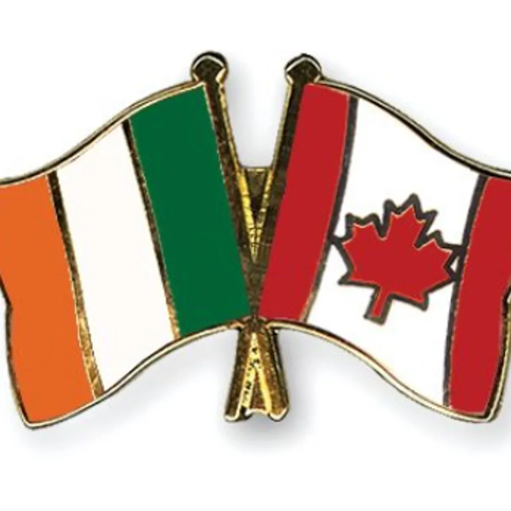 frankkingphotos.bsky.social's profile picture