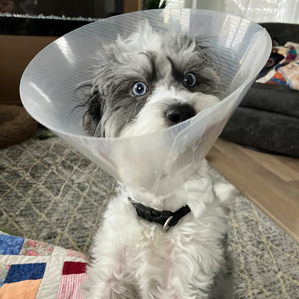 ginamyhill-jones.bsky.social's profile picture