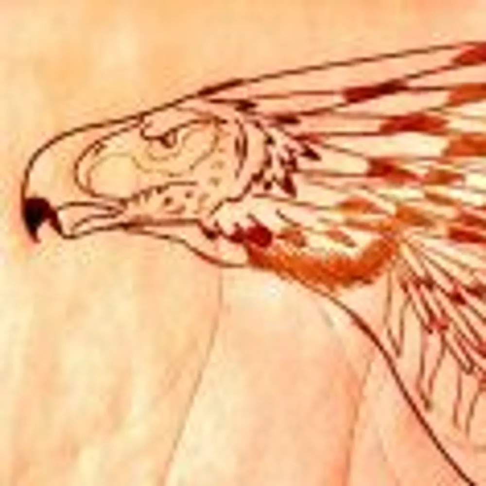 blazindragon.bsky.social's profile picture