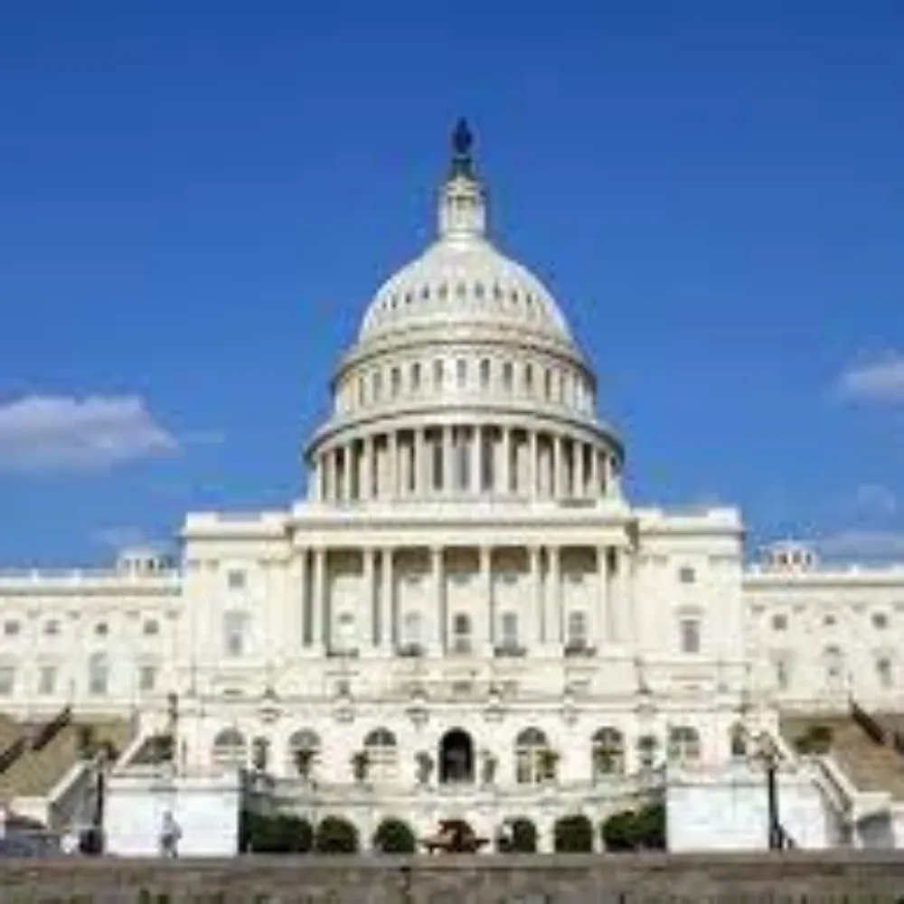 capitolhunters.bsky.social's profile picture