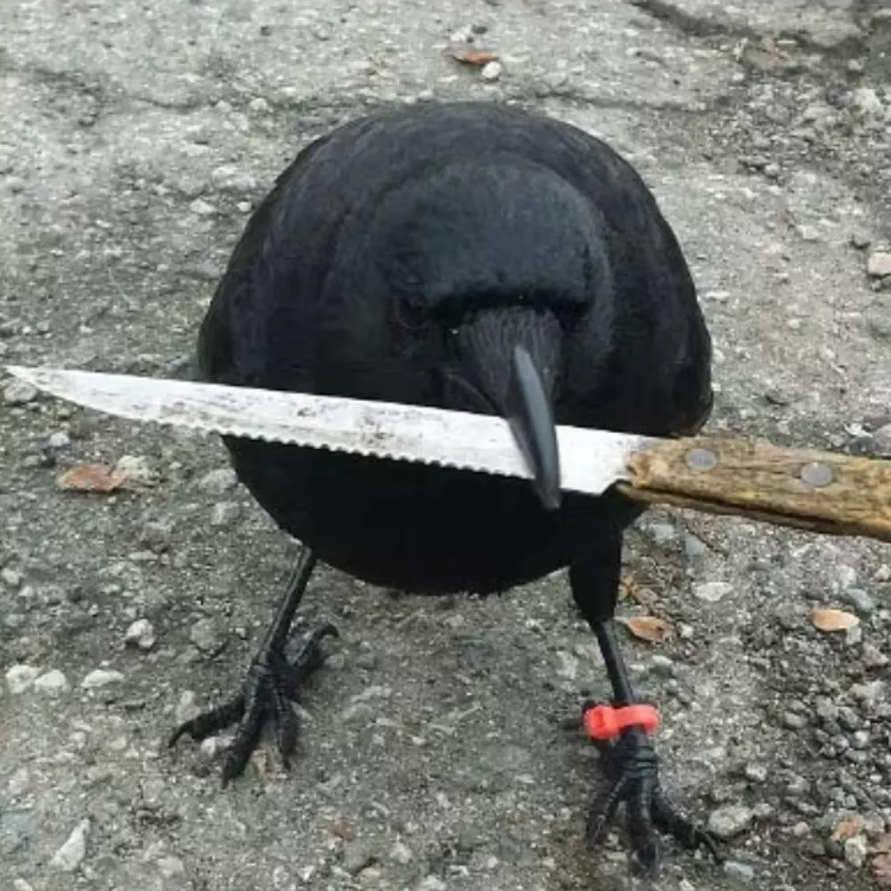 beerz4yearz.bsky.social's profile picture