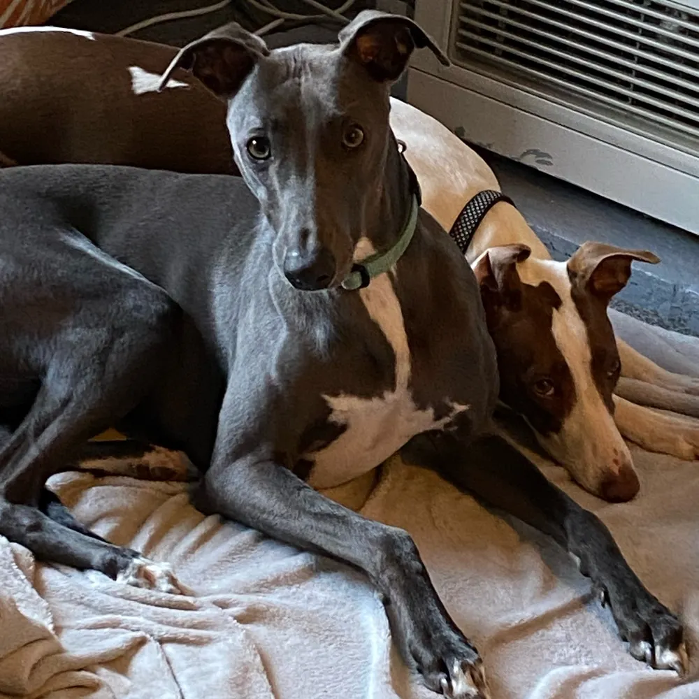 madnana.bsky.social's profile picture