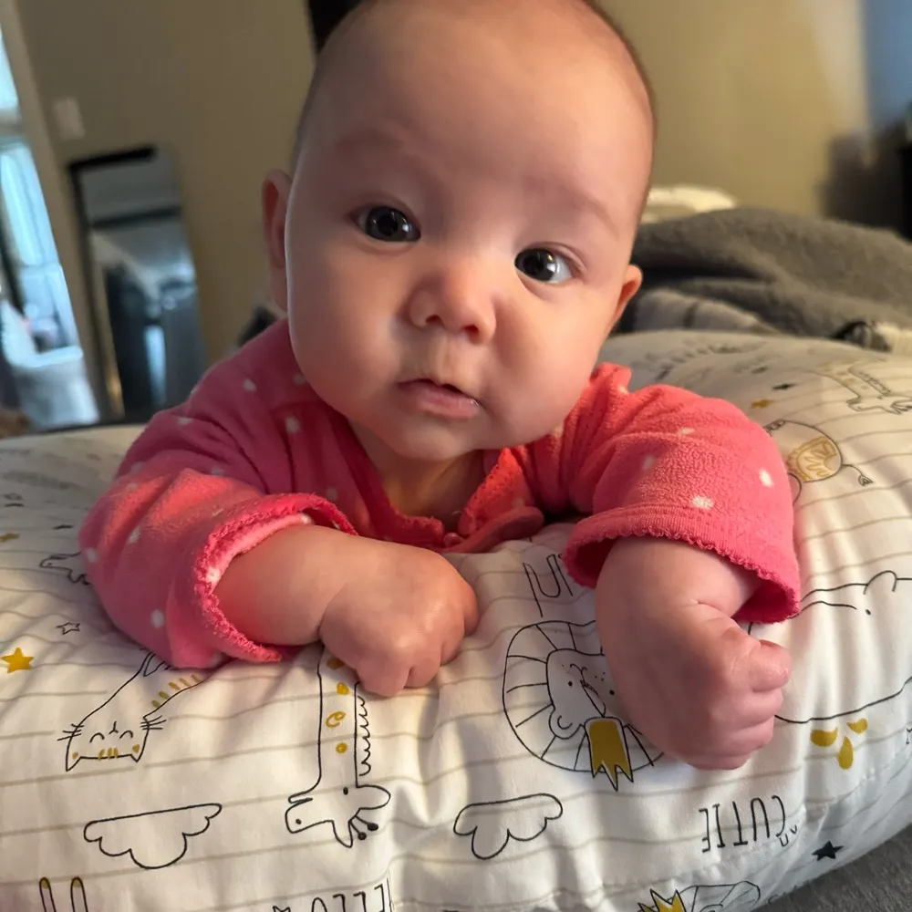 littlebluedrop.bsky.social's profile picture