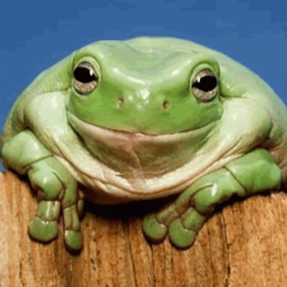 jae-bond-007.bsky.social's profile picture