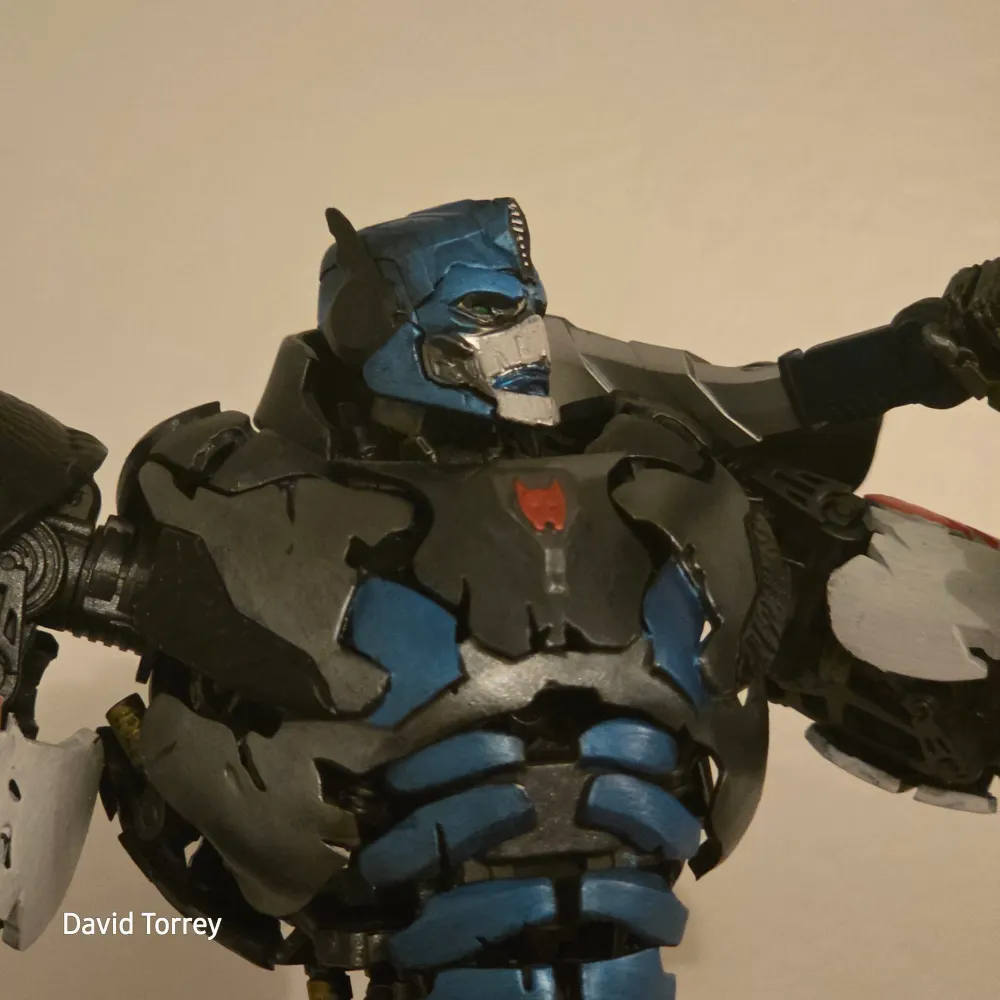 dtorrey867.bsky.social's profile picture