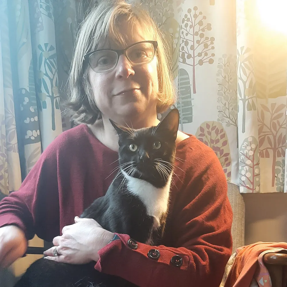 ukseennotseen.bsky.social's profile picture