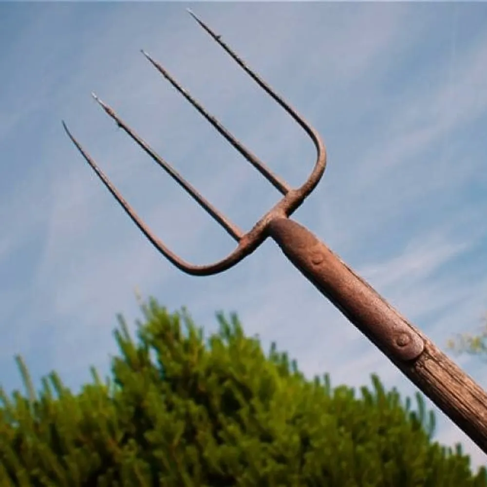 waterandafter.bsky.social's profile picture