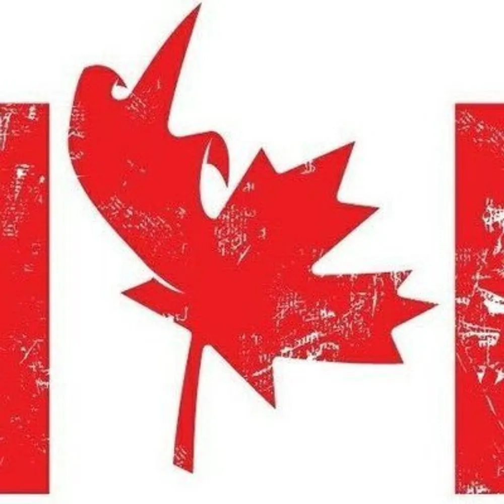 andyrogers.bsky.social's profile picture